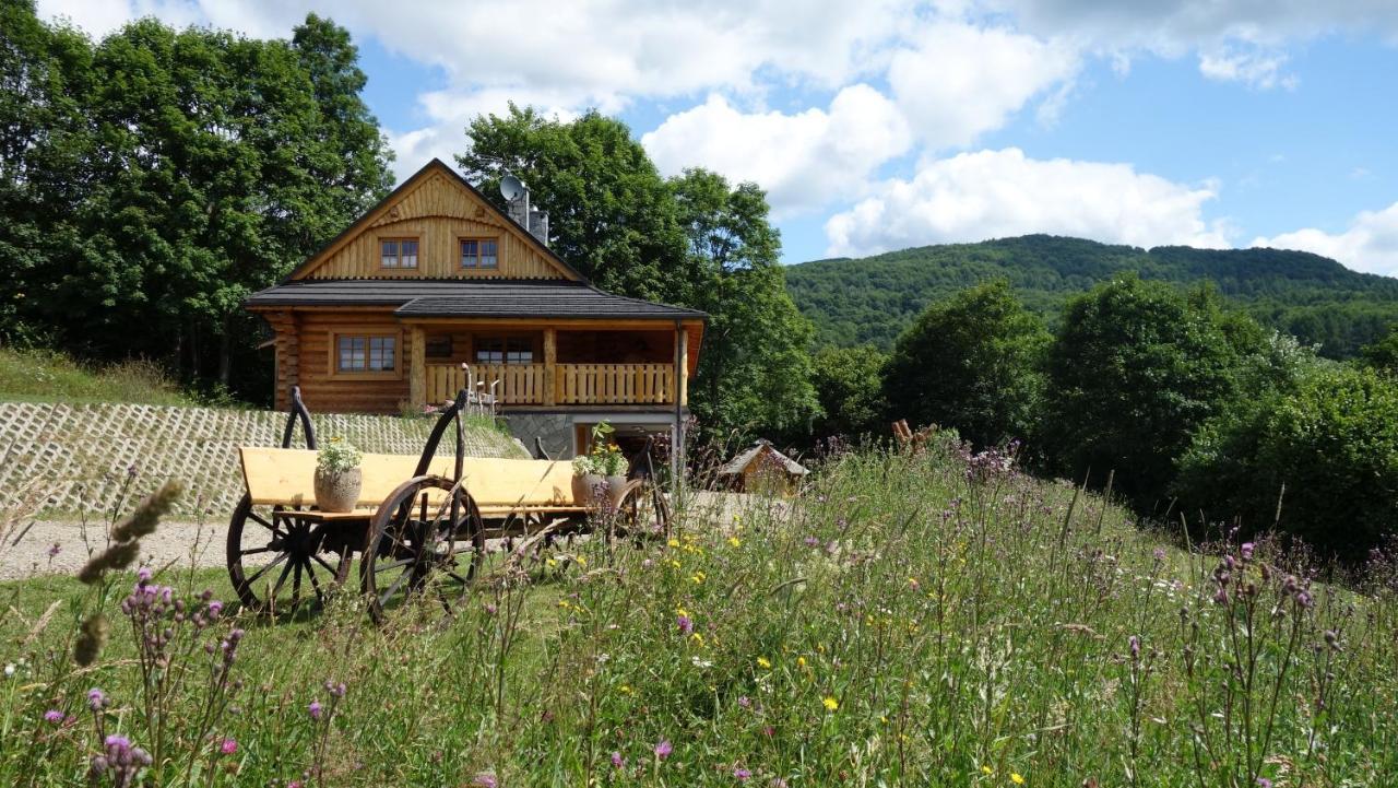 Bieszczadzkie Marzenie Wetlina Exterior foto